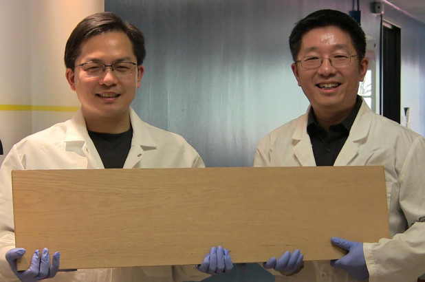 Scientists invent ‘super wood’ that could replace steel