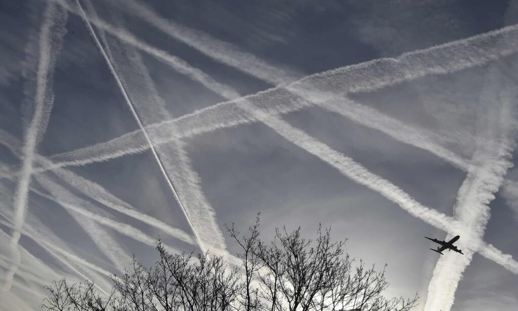 Offsetting carbon emissions: ‘It has proved a minefield’