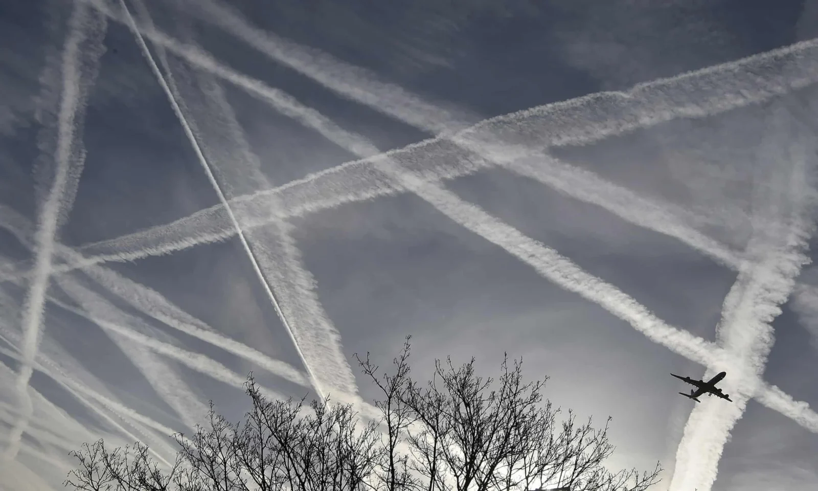 Offsetting carbon emissions: ‘It has proved a minefield’