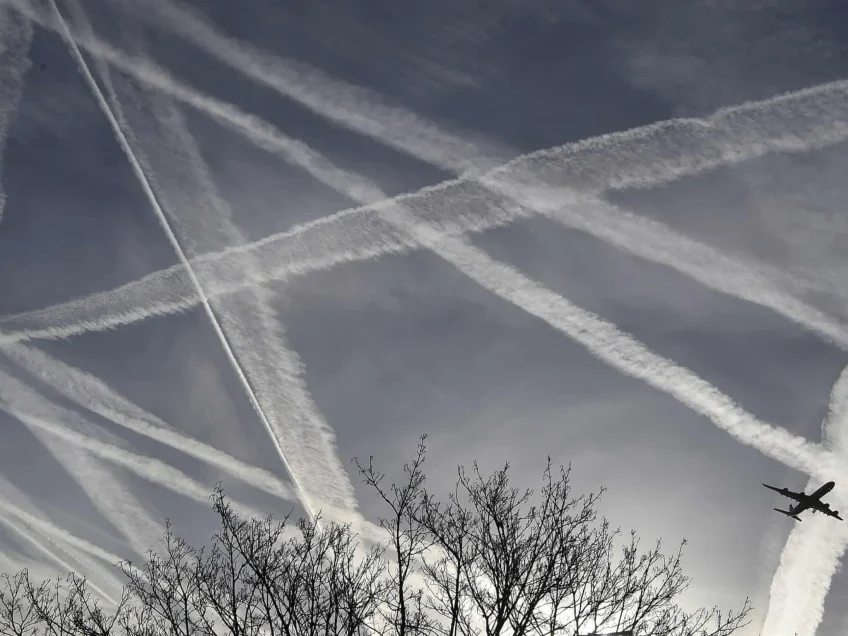 Offsetting carbon emissions: ‘It has proved a minefield’