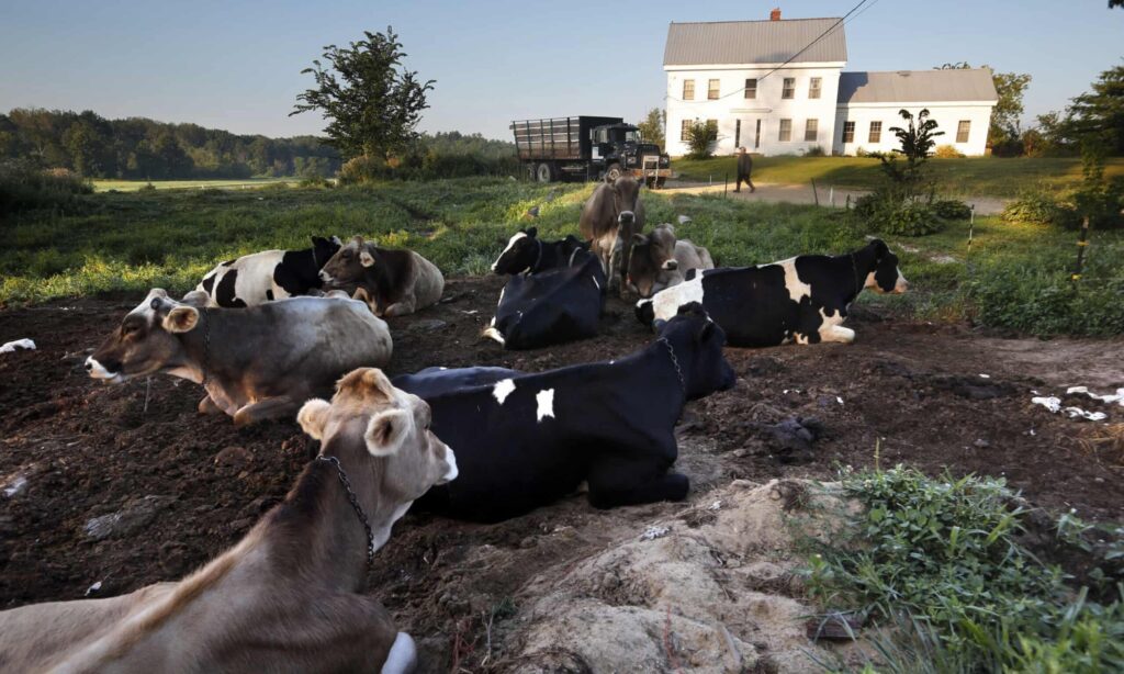 Biosolids: mix human waste with toxic chemicals, then spread on crops