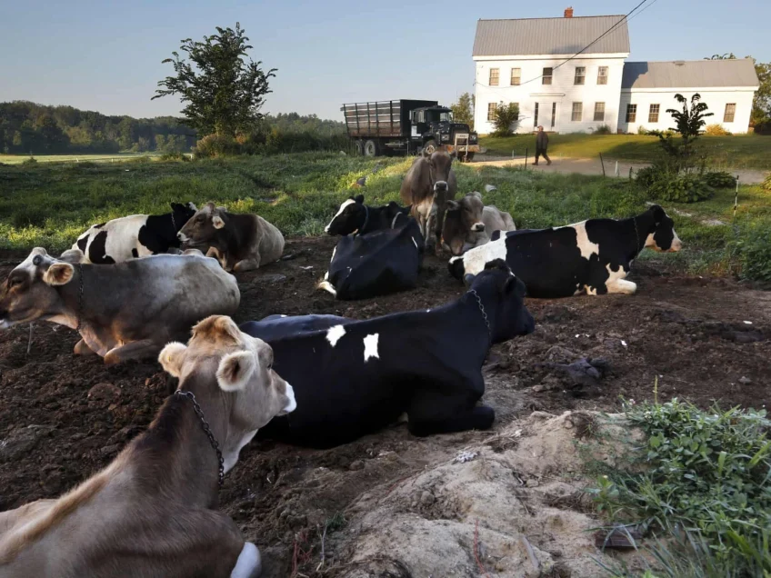 Biosolids: mix human waste with toxic chemicals, then spread on crops