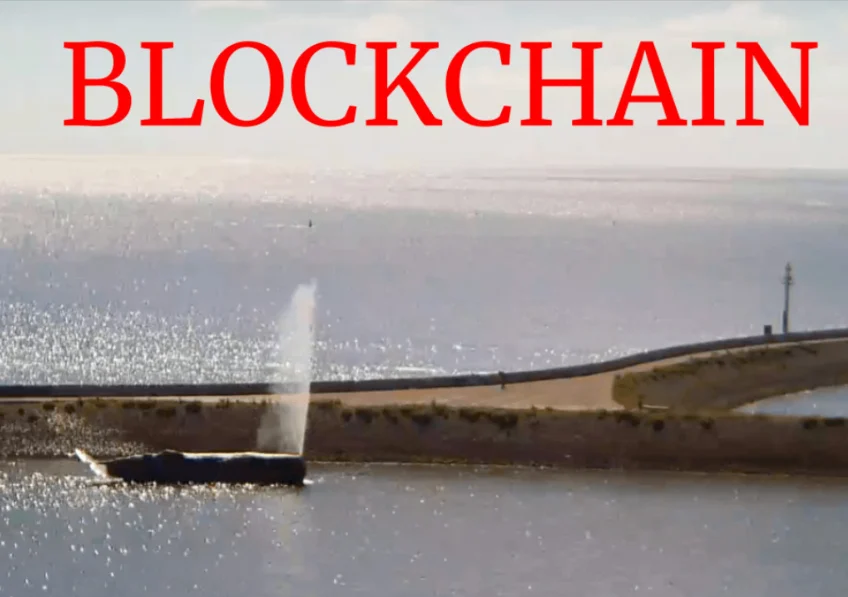 You can now make a fake Dutch whale squirt over blockchain
