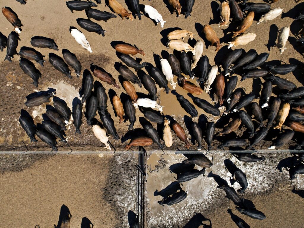 We’re Eating This Planet to Death