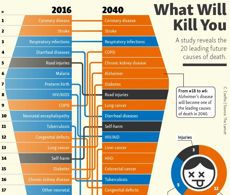 What Will Kill You in 2040 – Blog About Infographics and Data Visualization – Cool Infographics