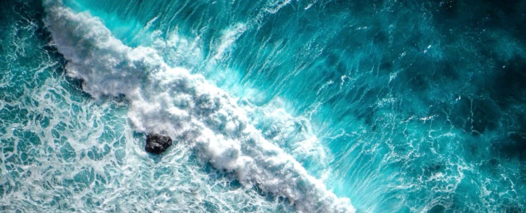 UN Report on Earth’s Oceans Confirms The Catastrophe Is Already Unfolding Around Us