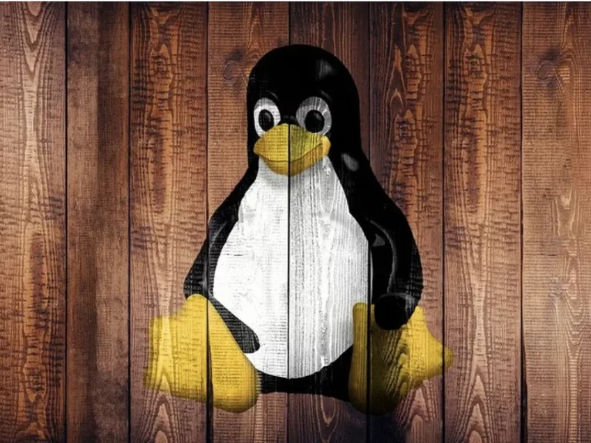 Best Linux distros of 2021 for beginners, mainstream and advanced users